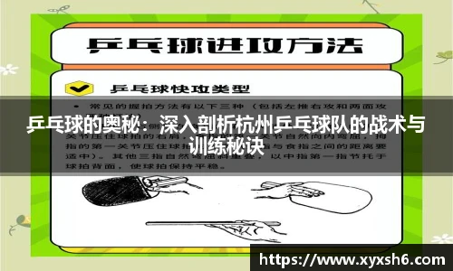 乒乓球的奥秘：深入剖析杭州乒乓球队的战术与训练秘诀