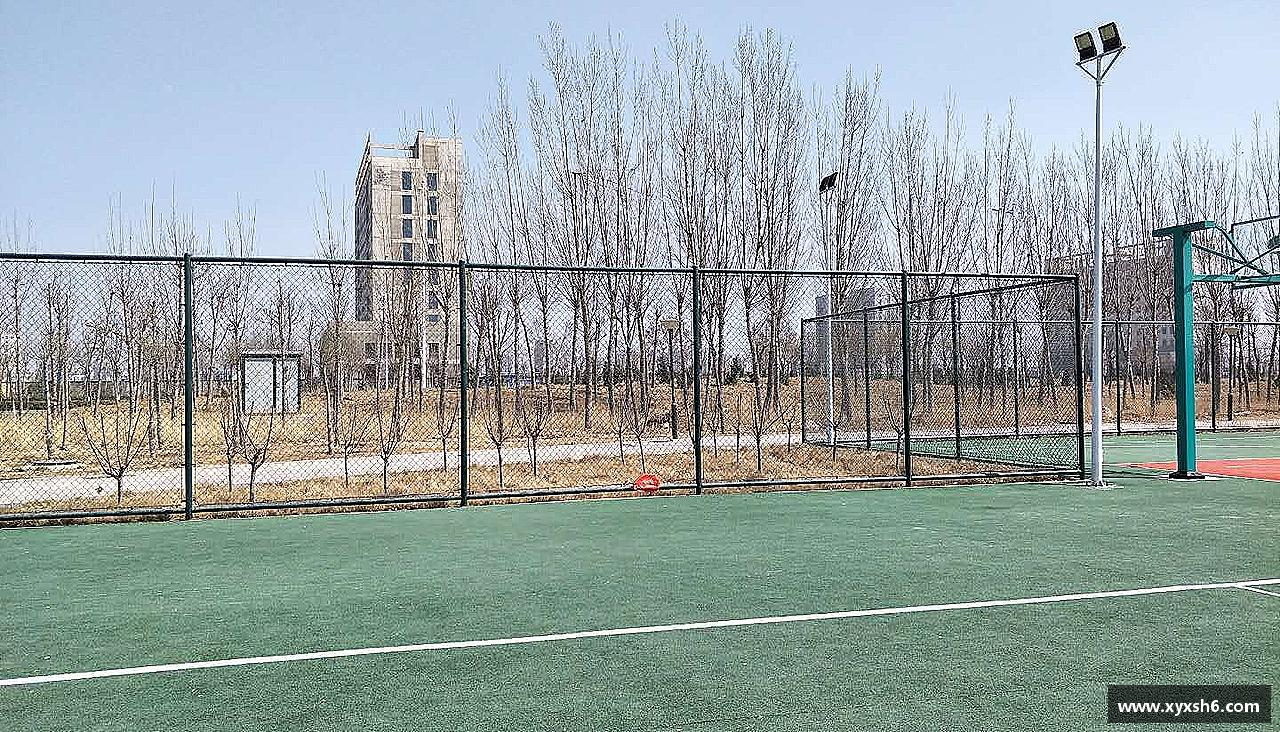 跃动青春，激情体育